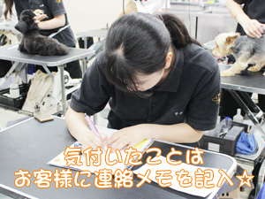 プロトリマーを目指して！